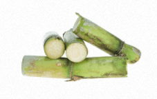 sugar cane extract is clinical active serum