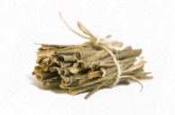 white willow bark extract active serum